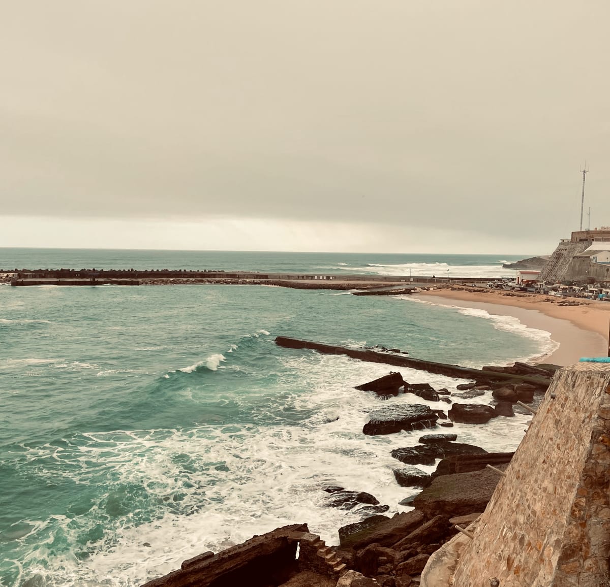 As ribas não esquecem